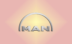 ✓ MAN 51.90001-0163 Болт ГБЦ 
